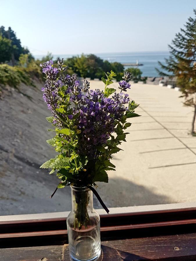 Family Hotel Venera 카바르나 외부 사진